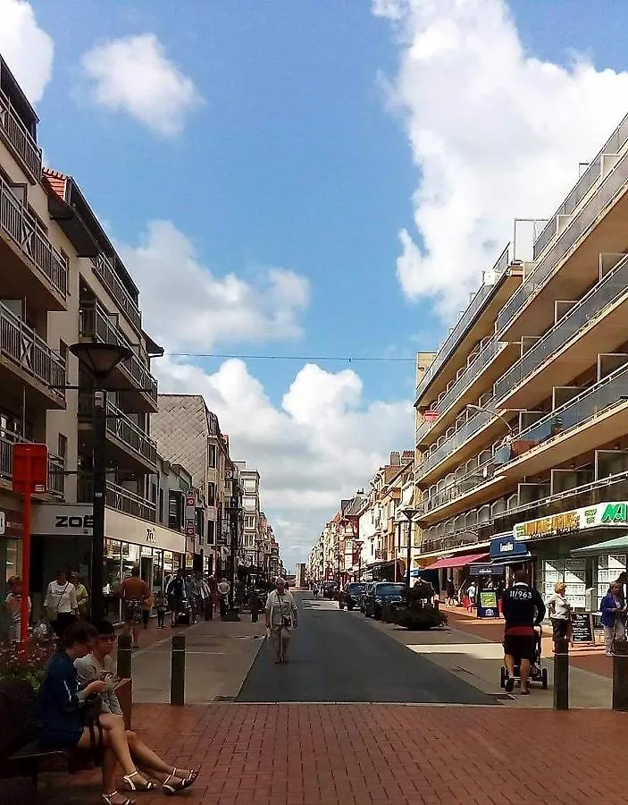 Luxury App, Frontal Sea View + South Terrace + Garage Apartment Middelkerke